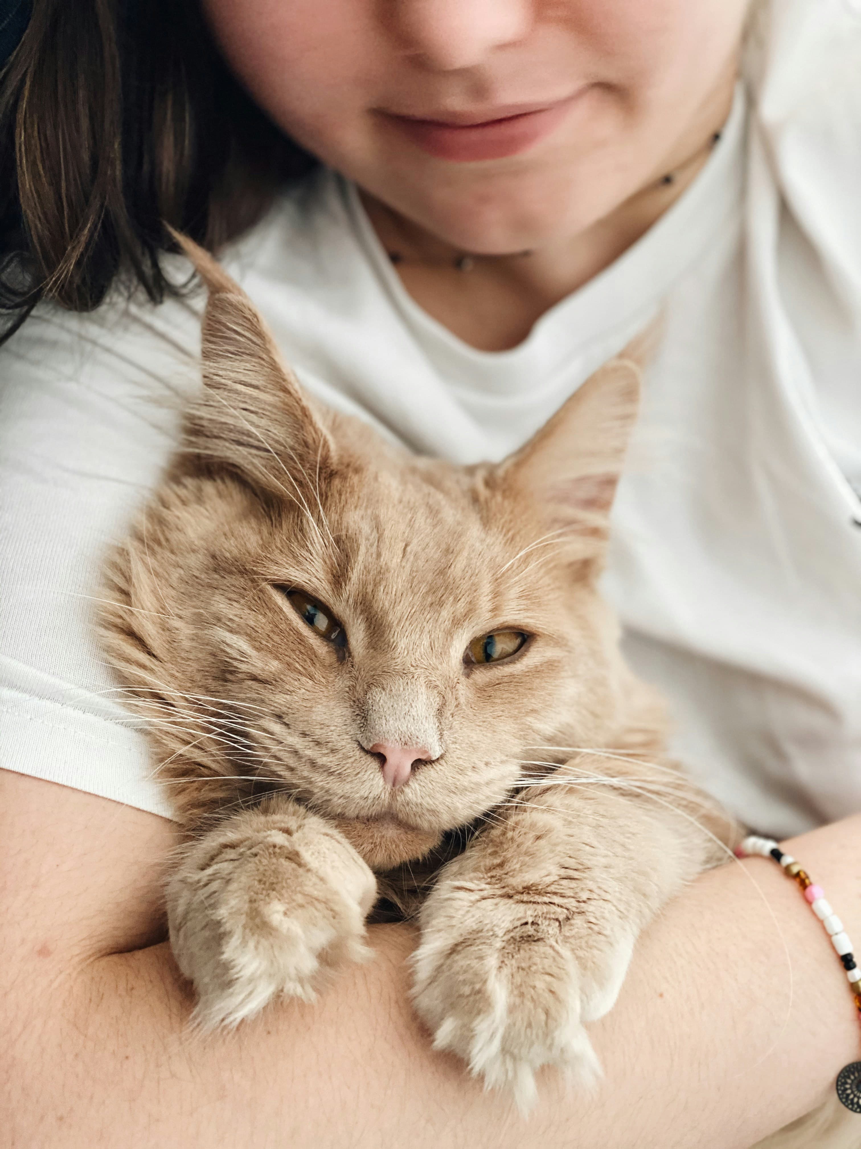 A person holding their cat