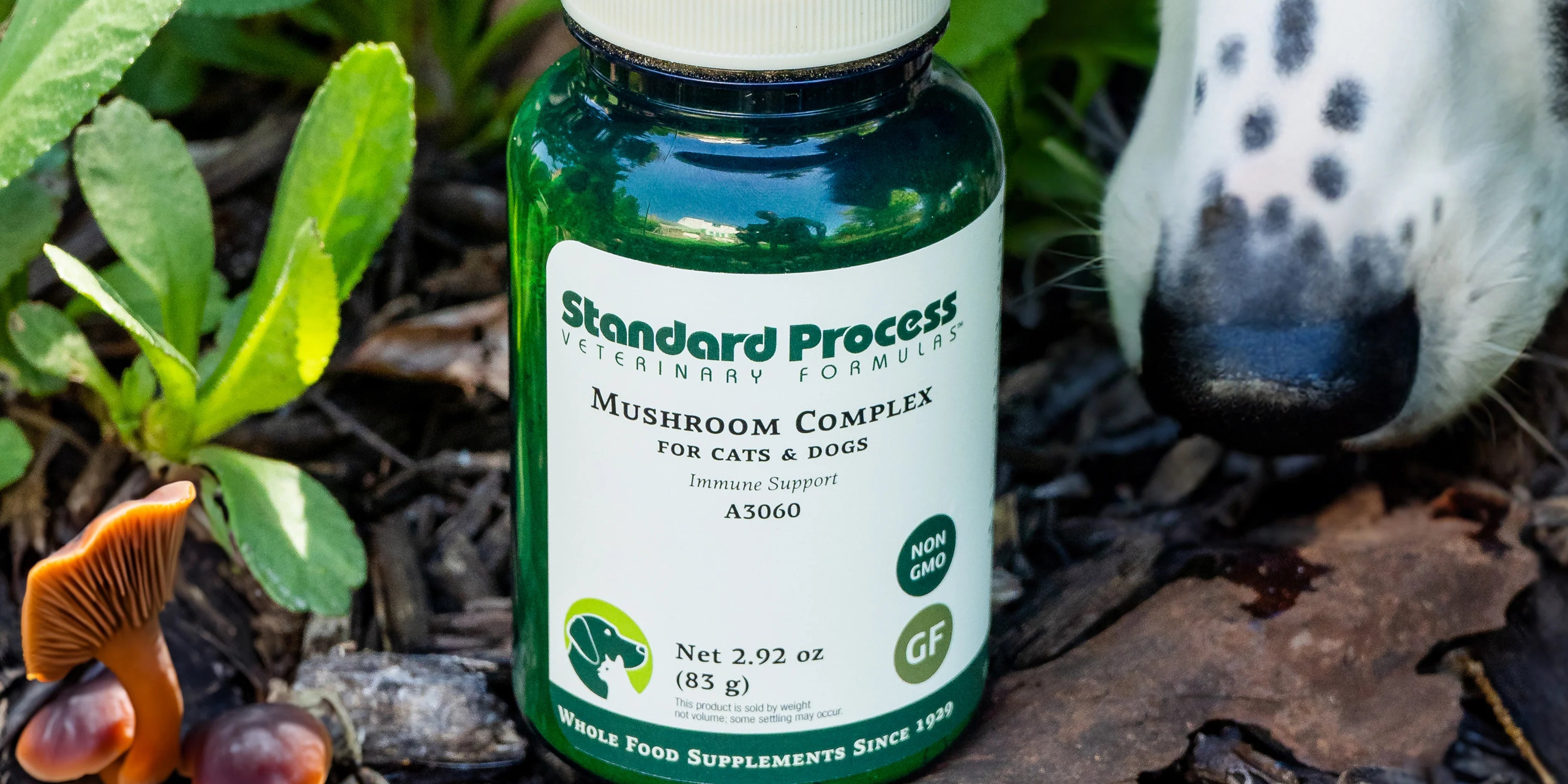 Metabolic Health: Fueling Vitality for Every Member of Your Family